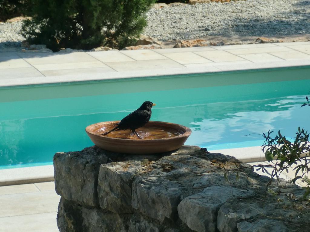 Villa Splendissima Krk - Adults Only Krk Town Kültér fotó
