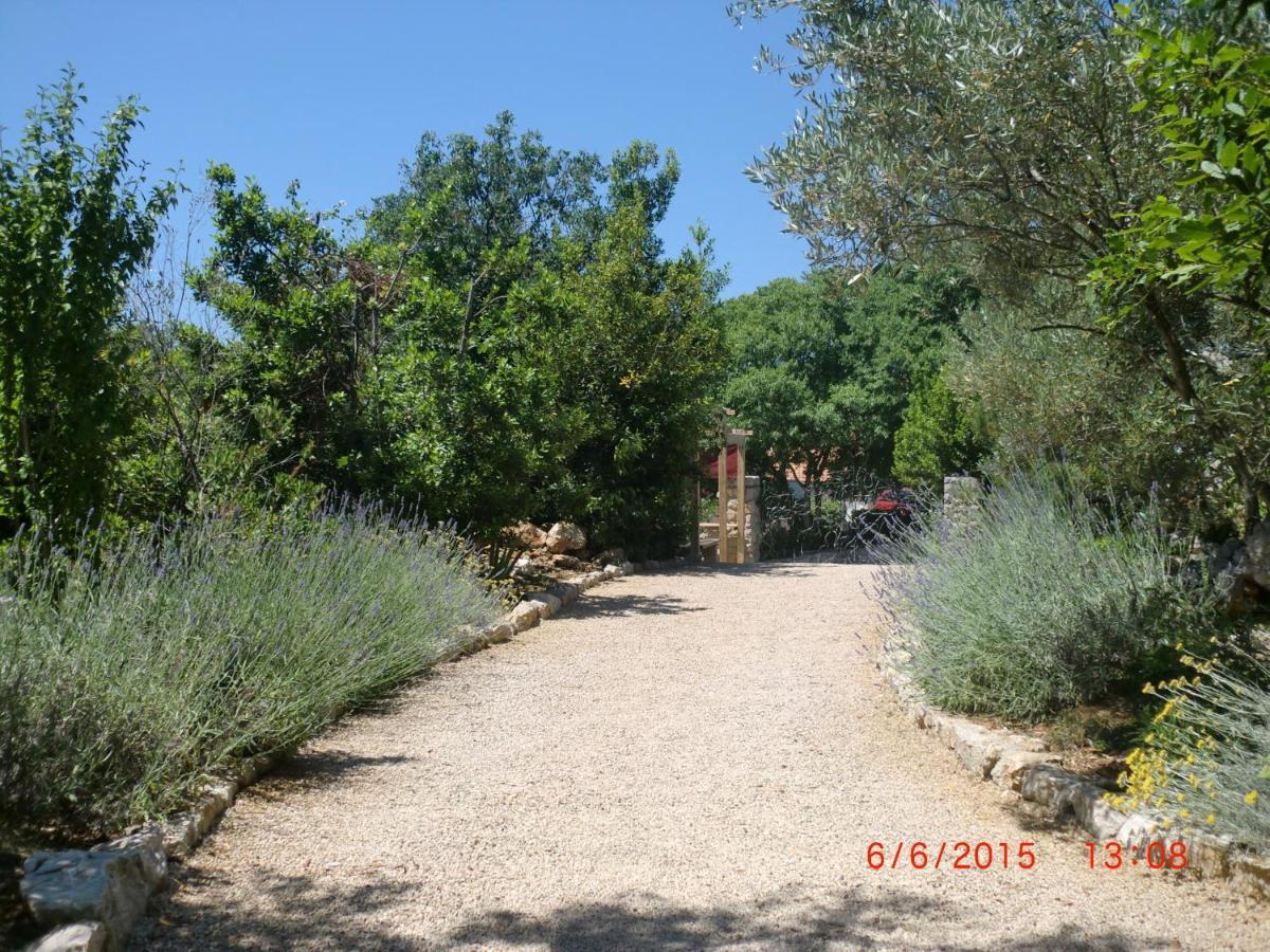 Villa Splendissima Krk - Adults Only Krk Town Kültér fotó